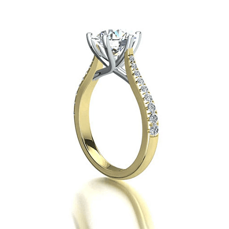 Dalia Claw Set
