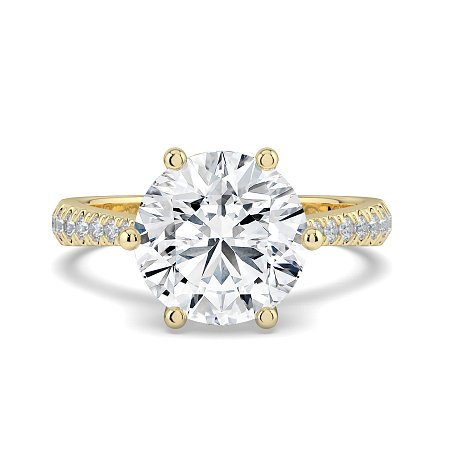 Dalia Claw Set