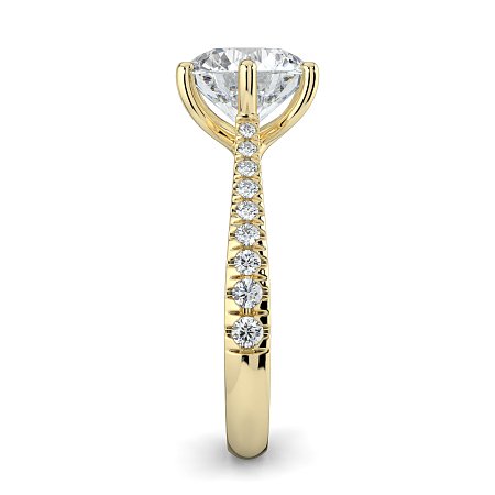 Dalia Claw Set