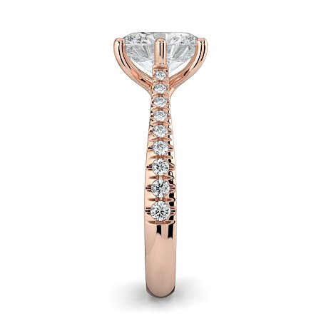 Dalia Claw Set