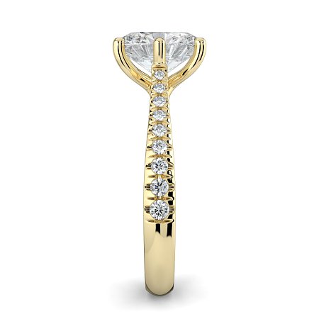 Dalia Claw Set