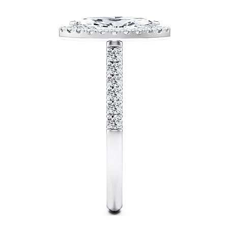 Angeli Halo