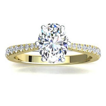 Dalia Claw Set