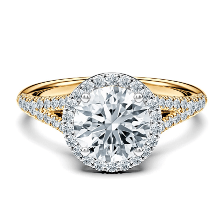 Angeli Split Band Halo