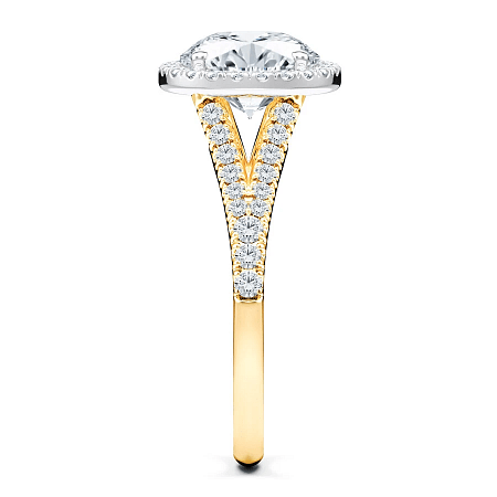 Angeli Split Band Halo