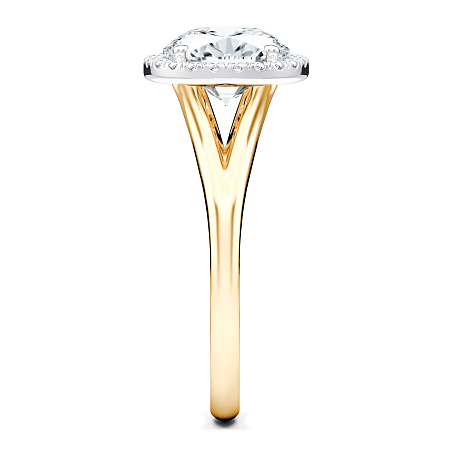 Angeli Split Band True Halo