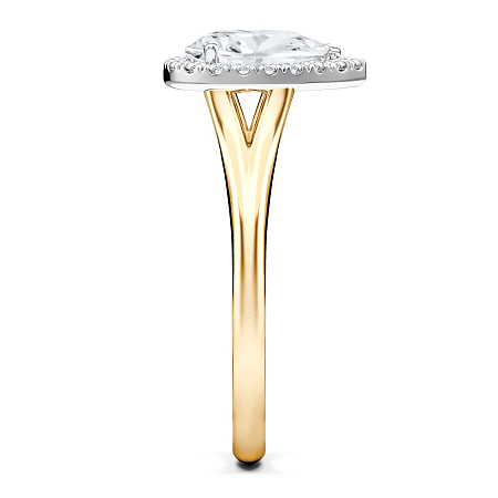 Angeli Split Band True Halo