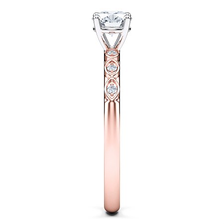 Petite Marquise