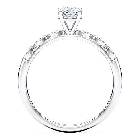 Petite Marquise