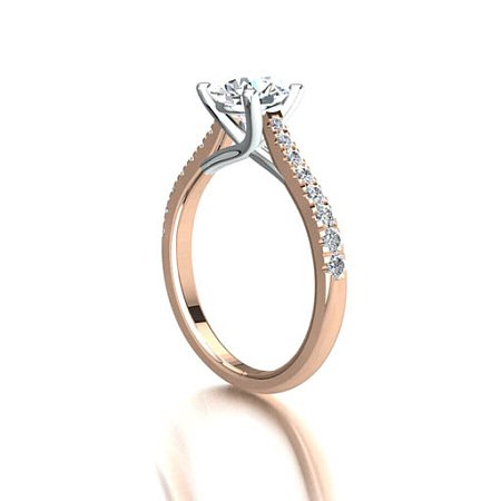 Dalia Claw Set