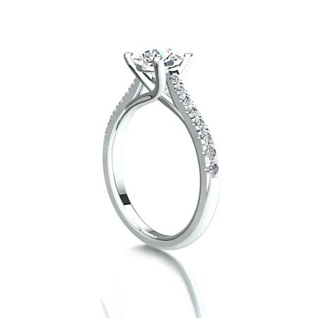 Dalia Claw Set