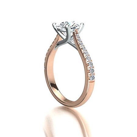 Dalia Claw Set
