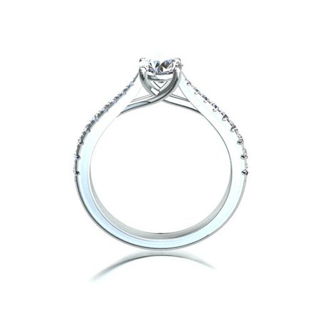 Dalia Claw Set