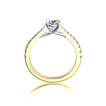 Dalia Claw Set