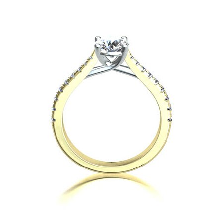 Dalia Claw Set