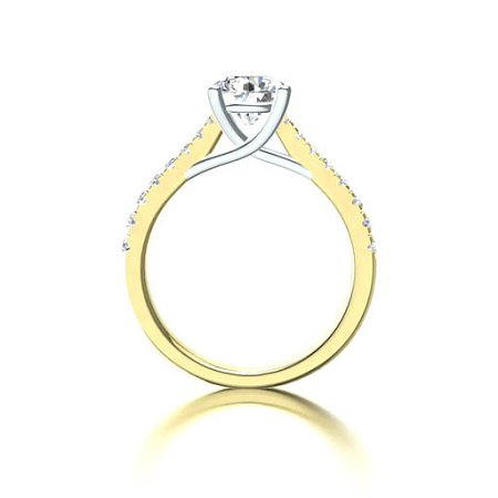 Dalia Claw Set