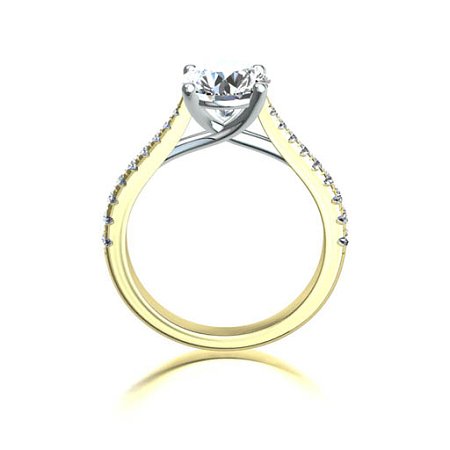 Dalia Claw Set