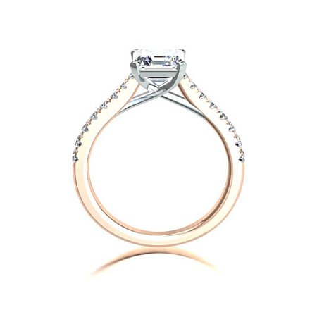 Dalia Claw Set