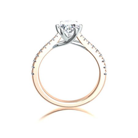 Dalia Claw Set