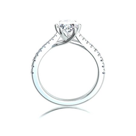 Dalia Claw Set