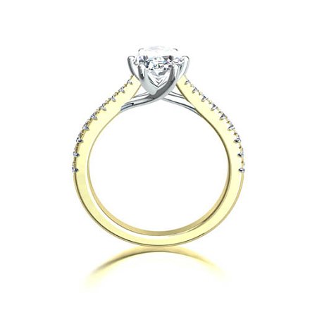 Dalia Claw Set