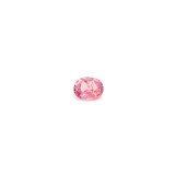 0.25 ct Oval Red Natural Ruby