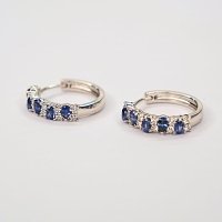 Earrings with Natural Diamonds and Natural Blue Sapphires