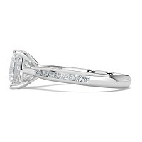 Dalia channel set