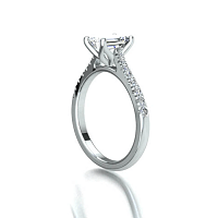Tulip Claw Set