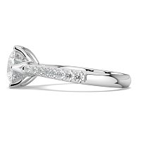 Tulip Claw Set