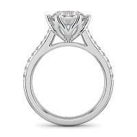Tulip Claw Set