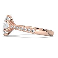 Tulip Claw Set