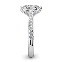 Tulip Claw Set