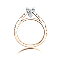 Cathedral Claw set