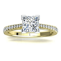 Cathedral Claw set