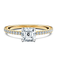 Cara Fine Claw set