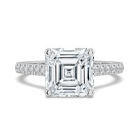 Cara Fine Claw set