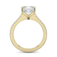 Cara Fine Claw set