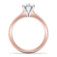Cara Fine Claw set