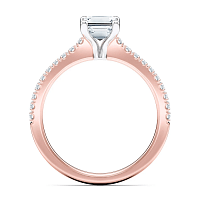 Cara Fine Claw set