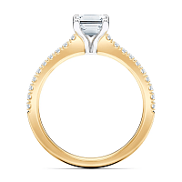 Cara Fine Claw set
