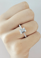 Cara Fine Claw set