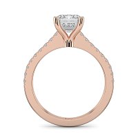 Cara Fine Claw set