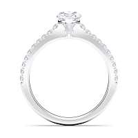 Cara Fine Claw set