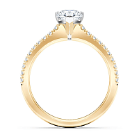 Cara Fine Claw set
