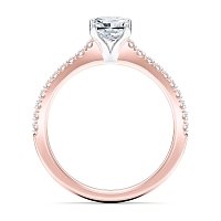 Cara Fine Claw set