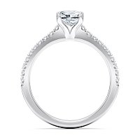 Cara Fine Claw set