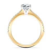 Cara Fine Claw set