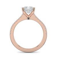 Cara Fine Claw set