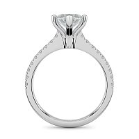 Cara Fine Claw set